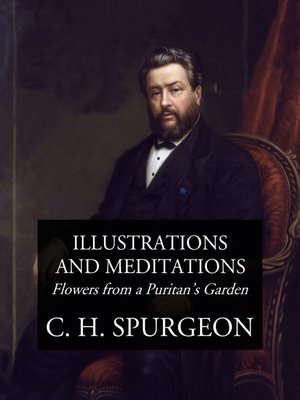 cover image of Illustrations and Meditations